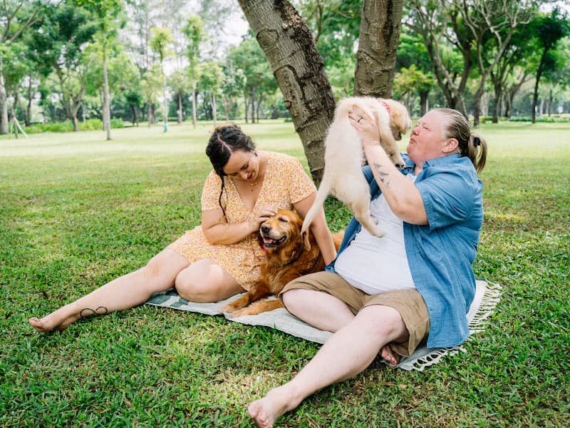 Two women sitting in a park with their dogs, enjoying nature.